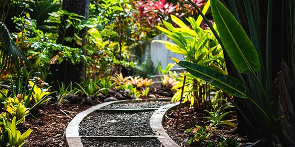 garden path with plants