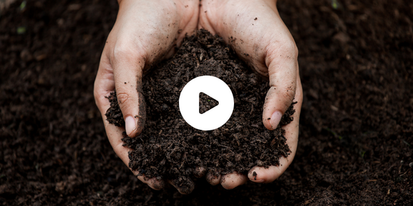 person holding dirt video