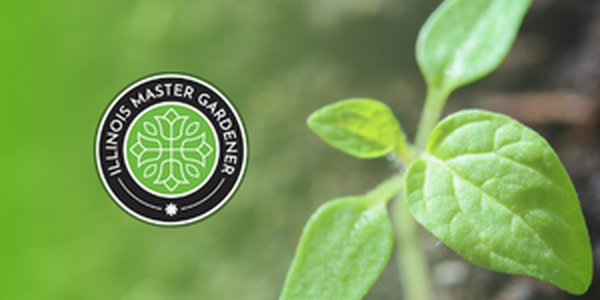 close up of green growing plant and Master Gardener logo
