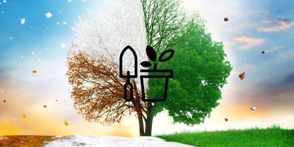 Image of a tree experiencing all four seasons with a graphic of a potted plant and garden tool over the top.