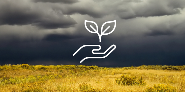 A stormy field with a graphic of a hand holding a plant.
