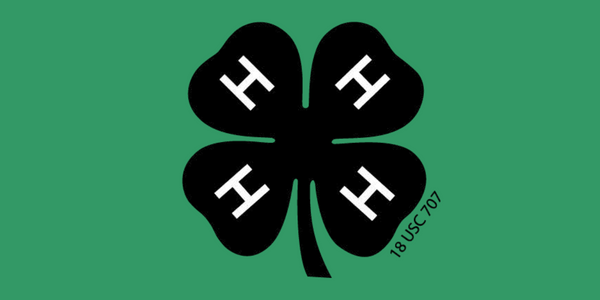 Green background with black 4H clover logo
