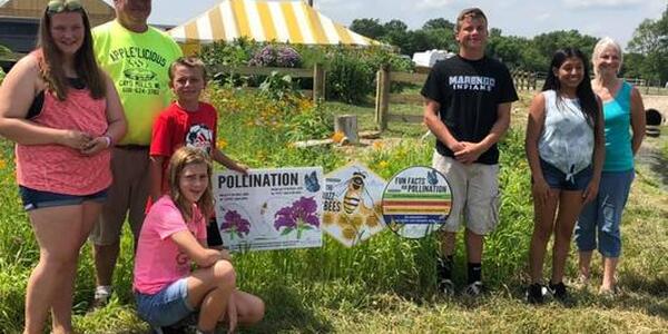 Pollinator garden with volunteers