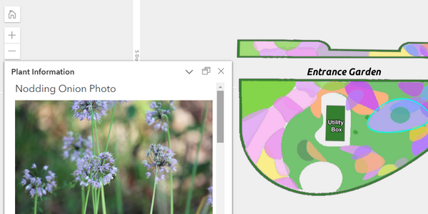 screen capture of garden plant layout map and a photo of a selected plant