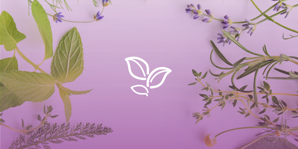 Herbs and flower with a graphic of an herb.