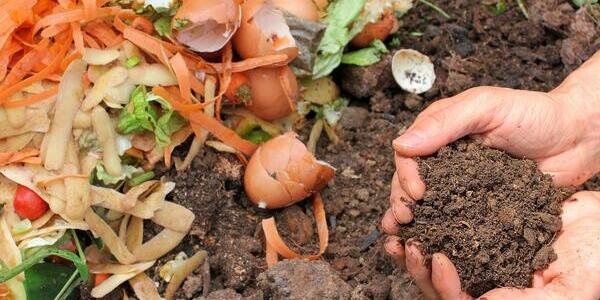 Hands with dirt and food scraps on ground