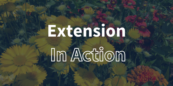 Extension in Action