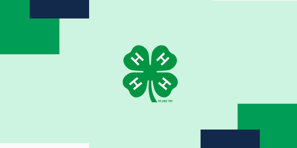 A 4-H cloverleaf with square design elements.