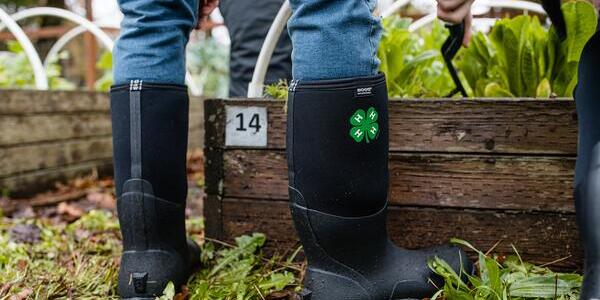 close-up image of 4-H mud boots worn by someone working in a raised garden