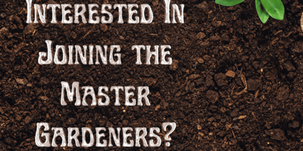 Joining Master Gardeners