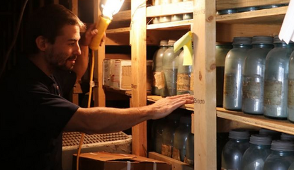 Man holding a work light examines large jars of soil on shelves in dark room