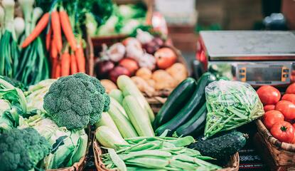 fresh vegetables in baskets
