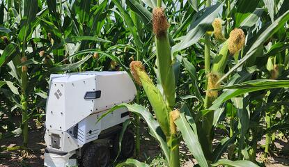 A robot traveling down a field's corn rows.  