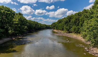 A wide slow river bordered by trees