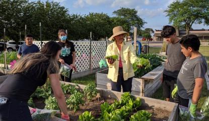 group of children gather around a raised bed garden listening to an older woman holding vegetables 