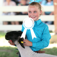 girl showing sheep at the fair